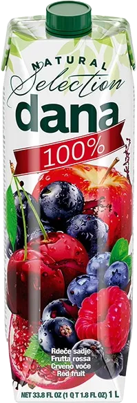 DANA RED FRUIT 100% 1L
