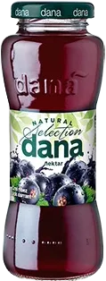 DANA ČERNÝ RYBÍZ 25% 0,2L nev.skl