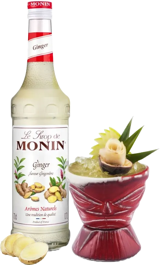MONIN GINGER/zázvor/0,7L