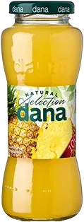 DANA ANANAS 100% 0,2L nev.skl
