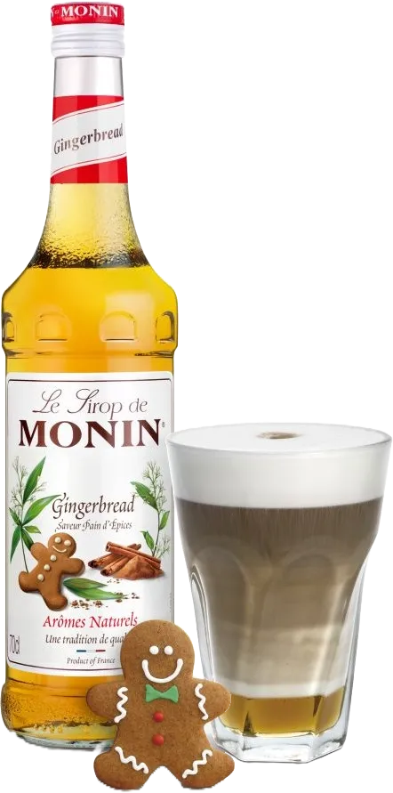 MONIN GINGERBREAD/perník/1L