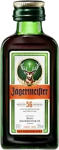 MINI Jagermeister 0,02l 35%