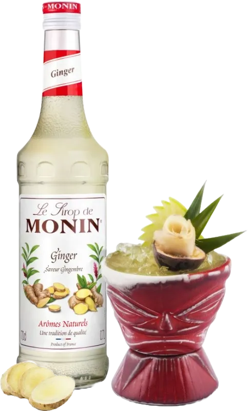 Produkt MONIN GINGER/zázvor/0,7L Obrázek