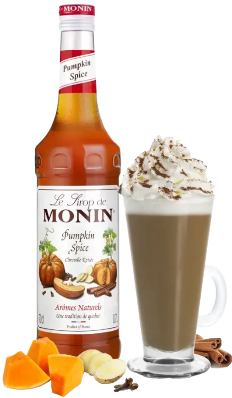 Produkt MONIN DÝŇOVÝ/PUMPKIN SPICE 0,7L Obrázek