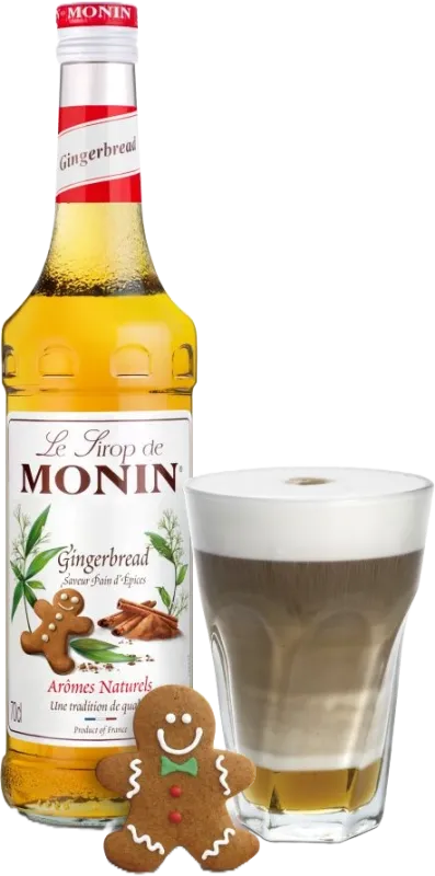Produkt MONIN GINGERBREAD/perník/1L Obrázek